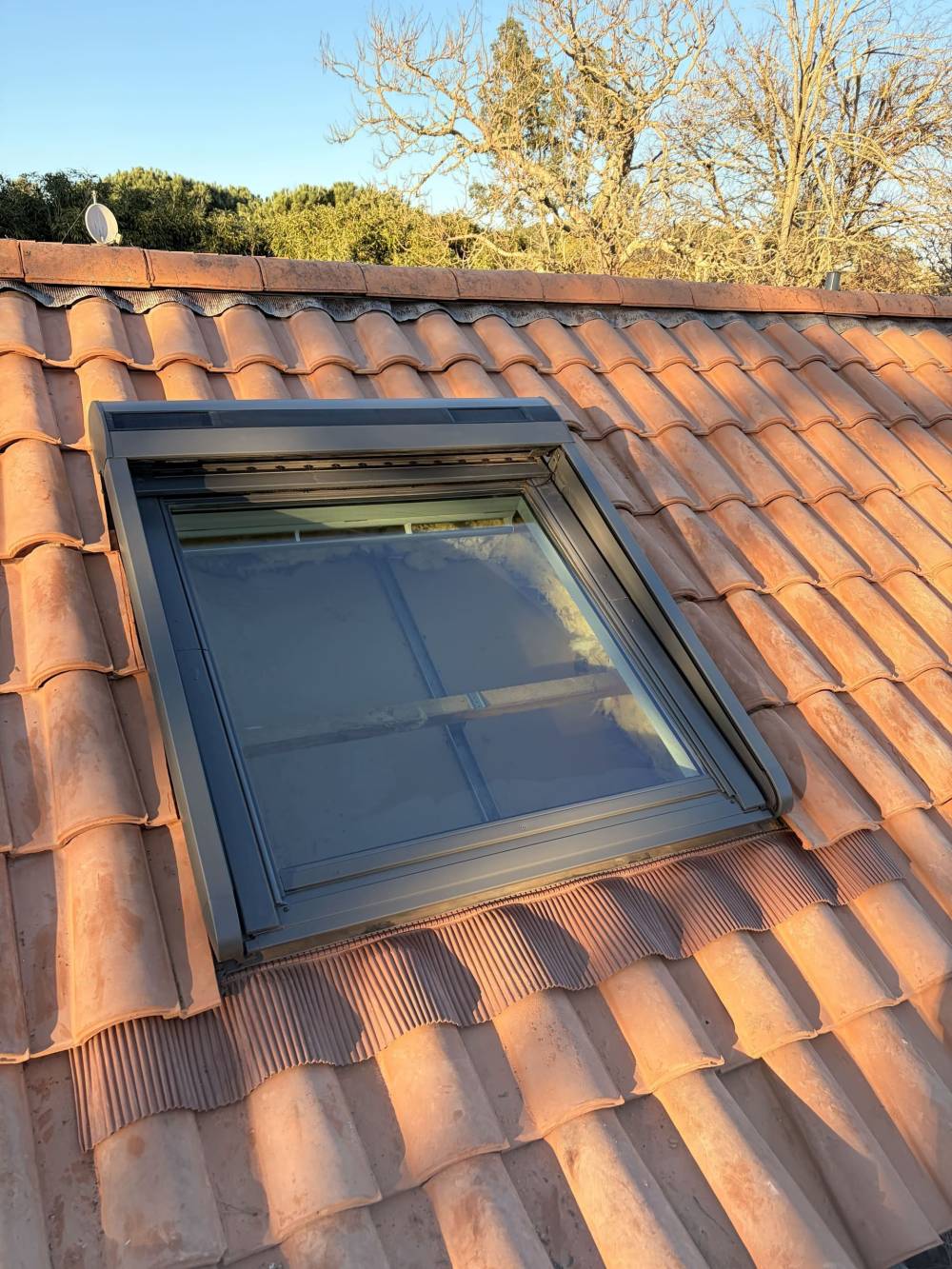 MONSIEUR BRYAN VAN BEEN ASCARGORTA (10)