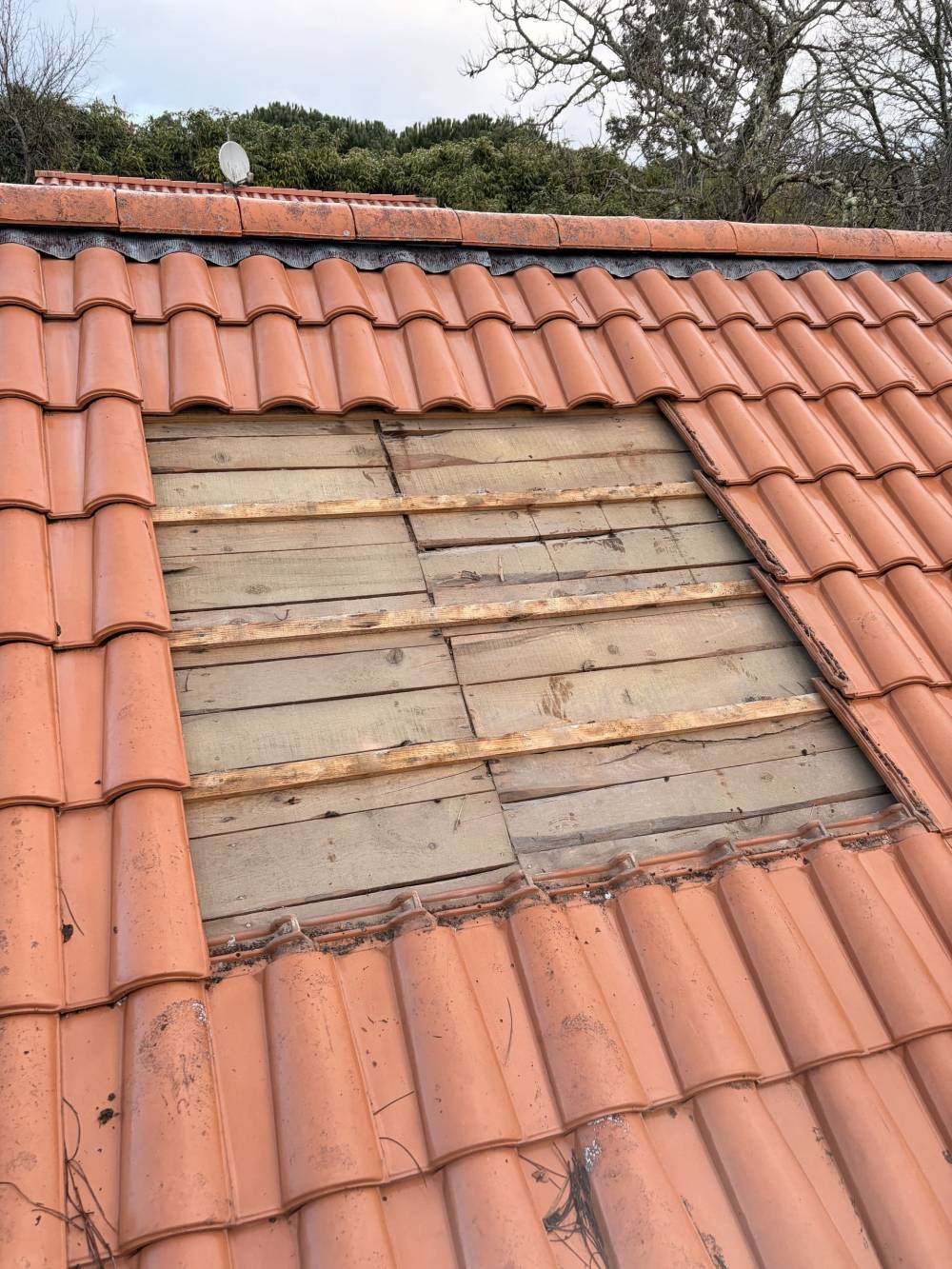 MONSIEUR BRYAN VAN BEEN ASCARGORTA (8)