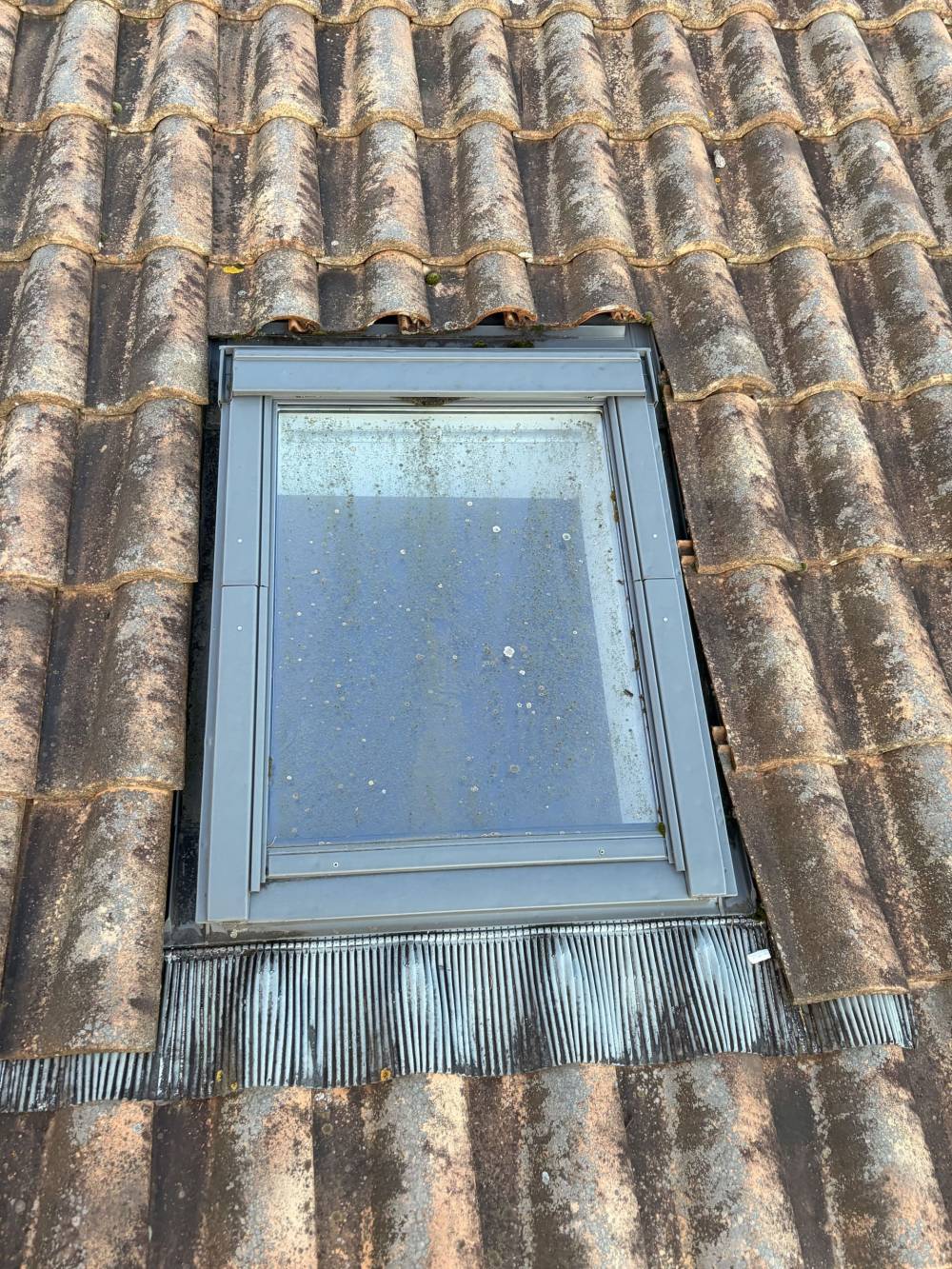 MONSIEUR BRYAN VAN BEEN ASCARGORTA (5)