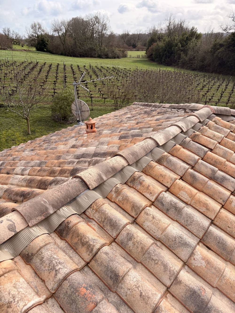 MONSIEUR BRYAN VAN BEEN ASCARGORTA (14)