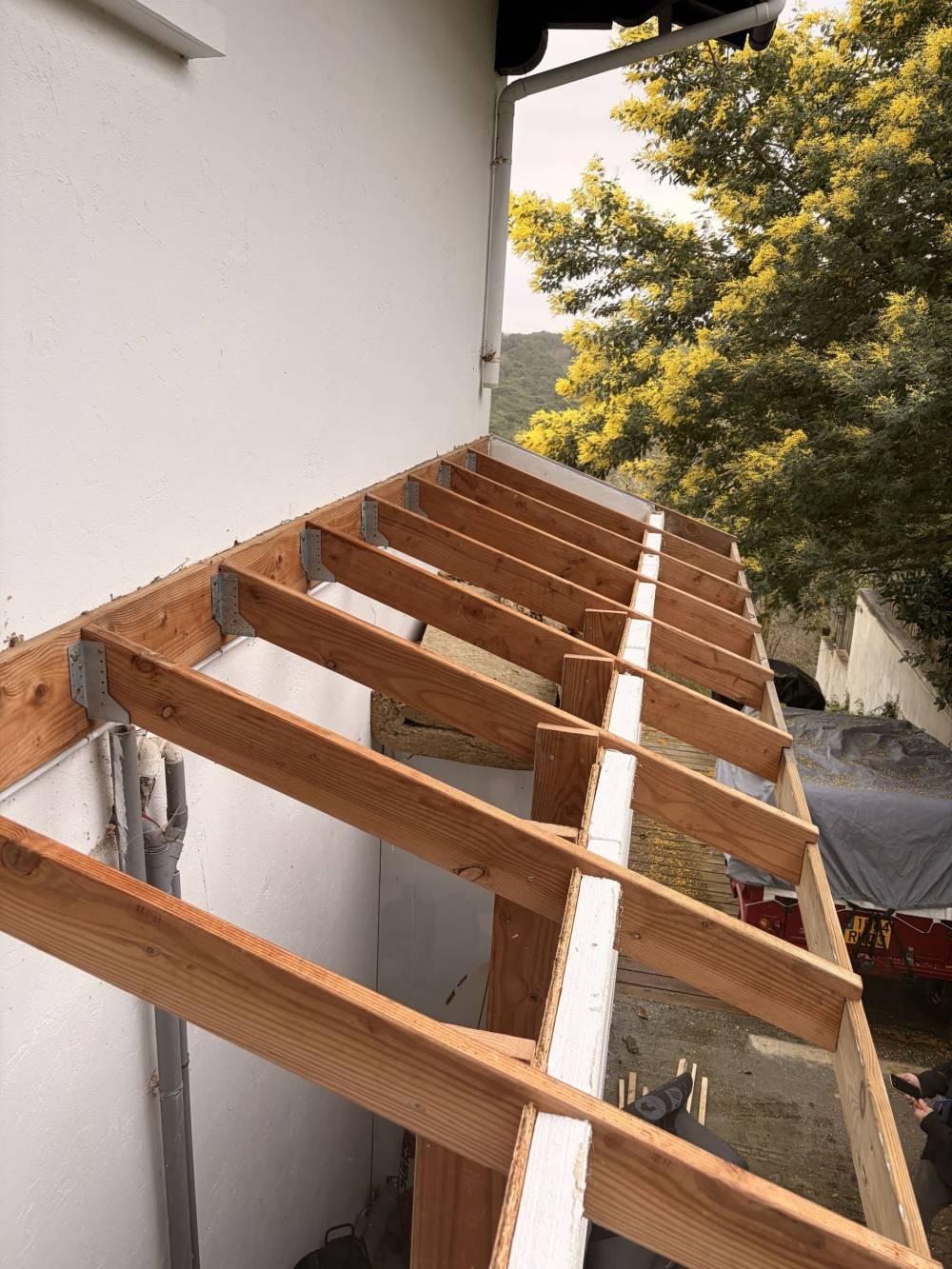 MONSIEUR BRYAN VAN BEEN ASCARGORTA (15)