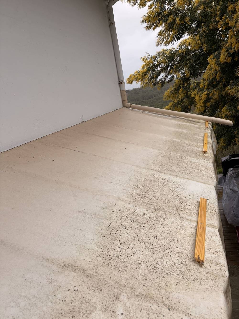 MONSIEUR BRYAN VAN BEEN ASCARGORTA (11)