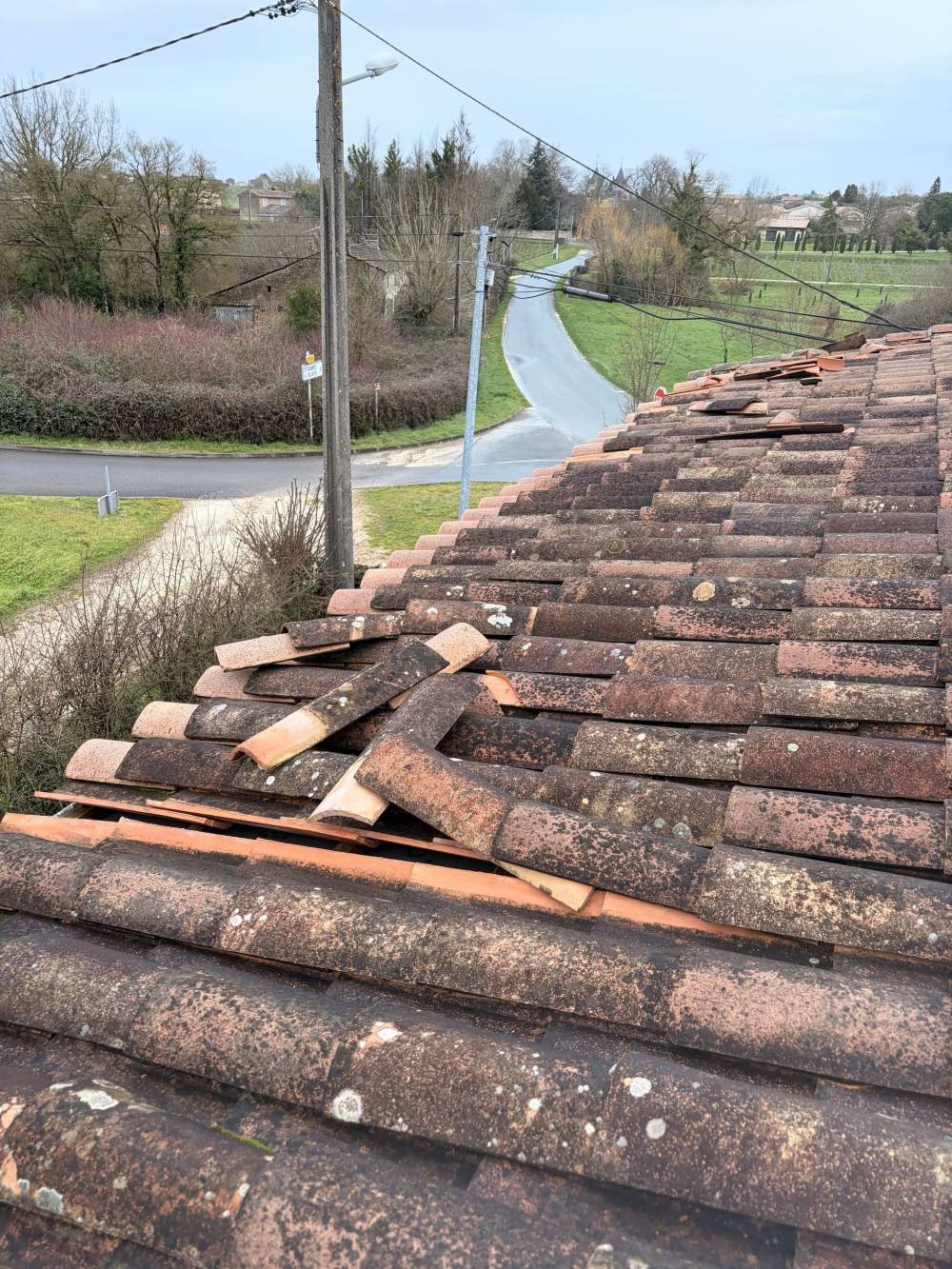 MONSIEUR BRYAN VAN BEEN ASCARGORTA (12)