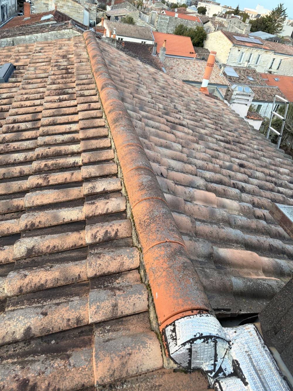 MONSIEUR BRYAN VAN BEEN ASCARGORTA (6)