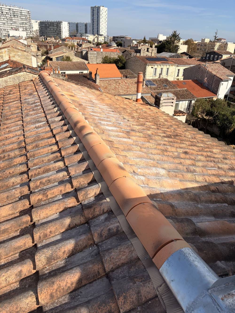 MONSIEUR BRYAN VAN BEEN ASCARGORTA (21)